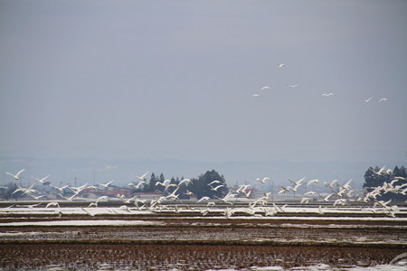 Blog_20180401_004