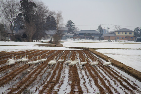 Blog_20180401_005