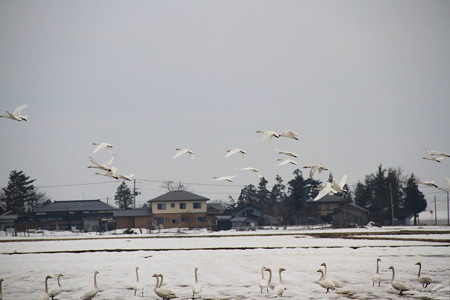 Blog_20180401_006