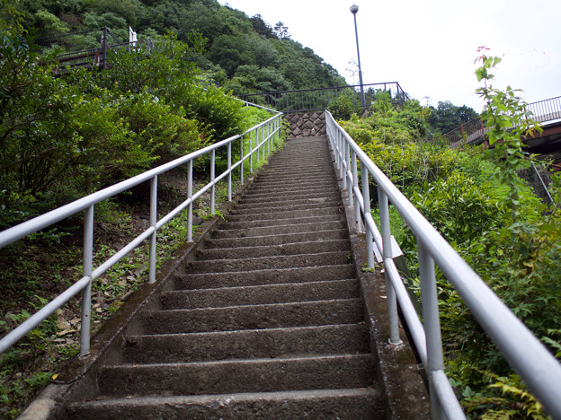 Photos: 魚道への登り階段
