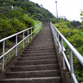 魚道への登り階段