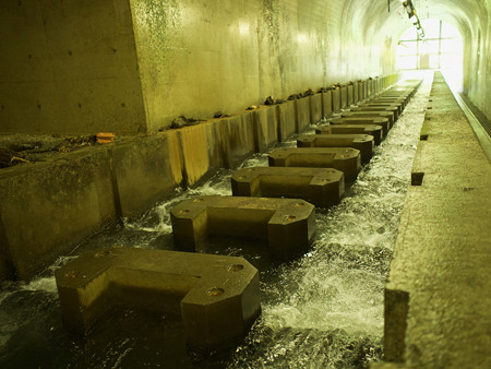 魚道地下区間