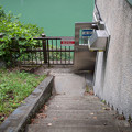Photos: 魚道出口階段から