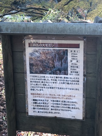 愛岐トンネル群 秋の特別公開 IMG_1476