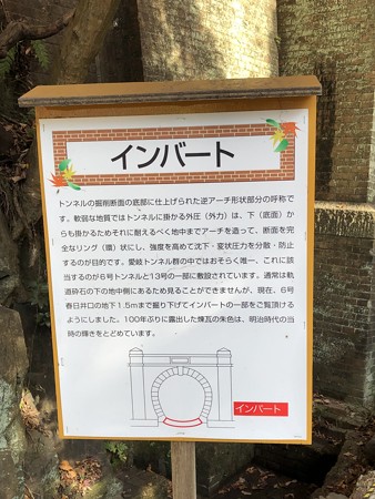 愛岐トンネル群 秋の特別公開 鉄道遺構 インバート IMG_1510