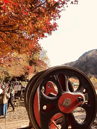 愛岐トンネル群 秋の特別公開 IMG_E1503