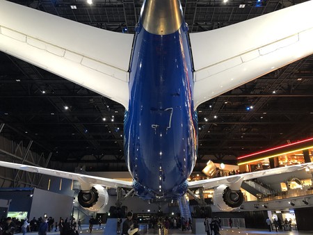 FLIGHT OF DREAMS フライト オブ ドリームズ B787 N787BA IMG_1716