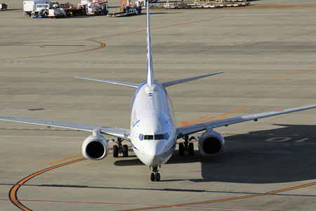 ANA B737-800 JA82AN IMG_8838_2