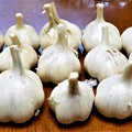 Photos: ニンニクfrom富良野
