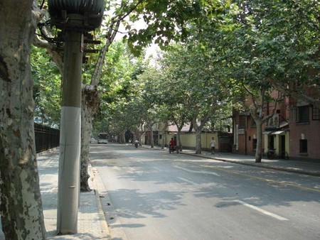 復興路(1)