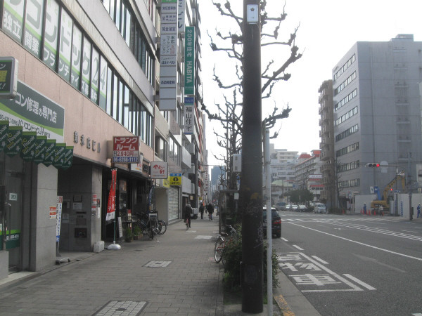 北から