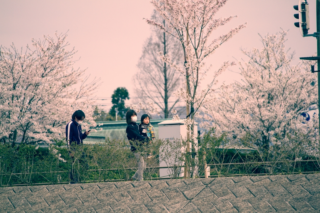 IMG_1563 写真: IMG_1563