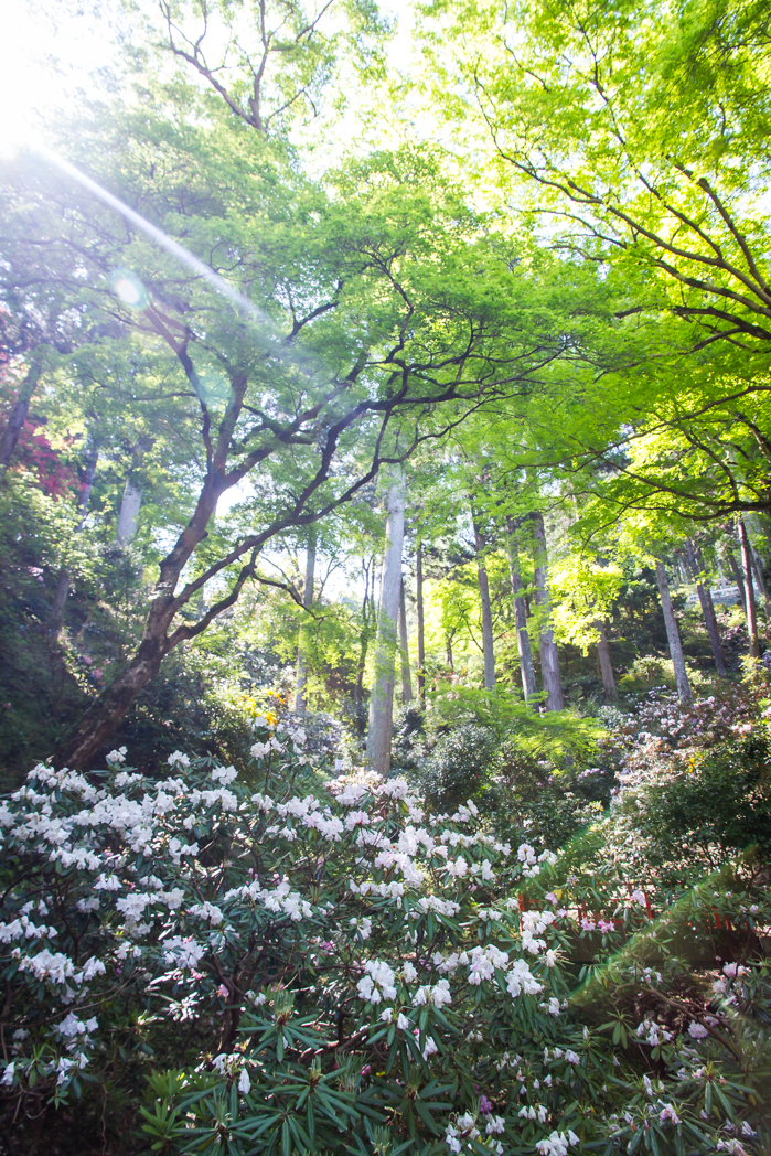 写真: IMG_3146