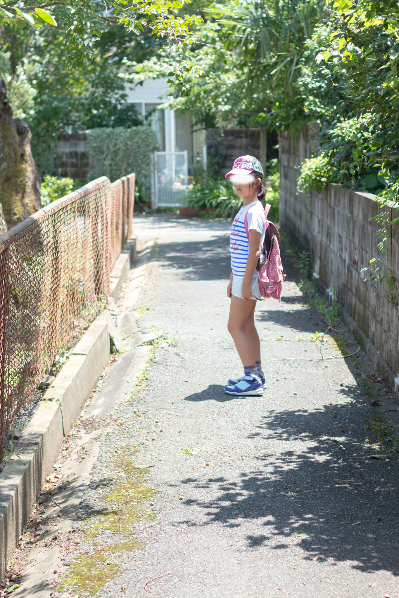 写真: IMG_8511