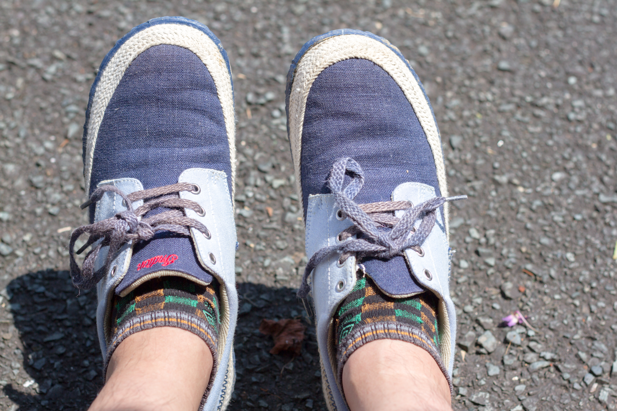 写真: IMG_8554