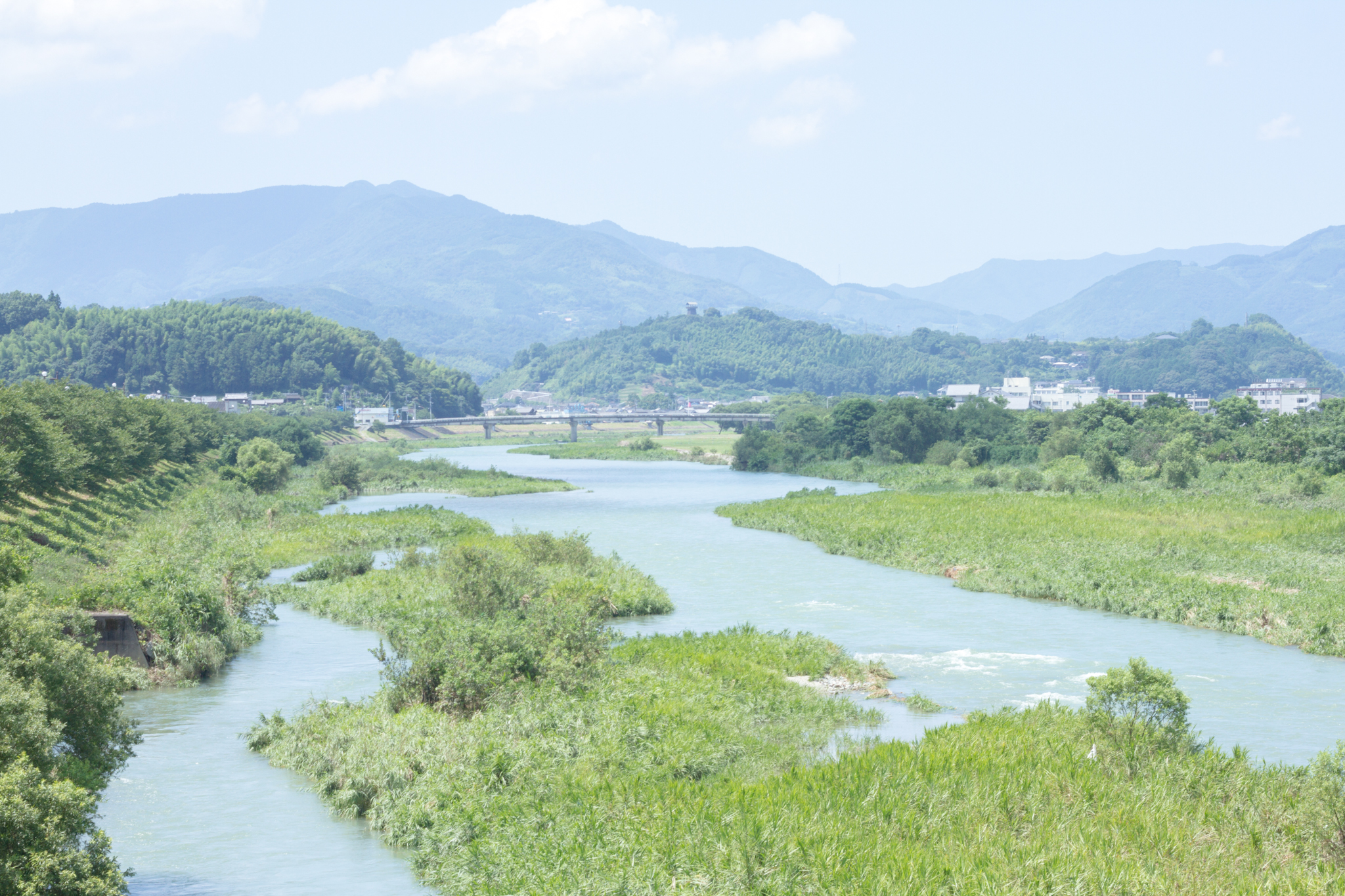 写真: IMG_8557