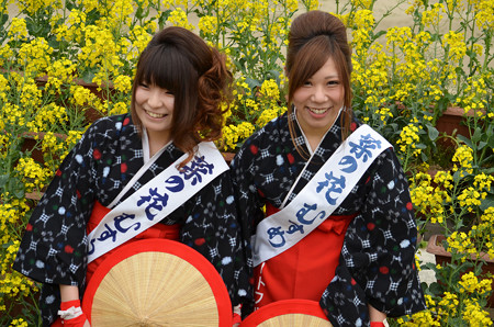 菜の花の笑顔×2