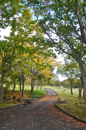 紅葉前の遊歩道