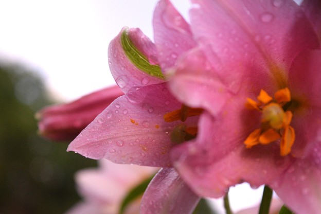 Photos: DSC_1879