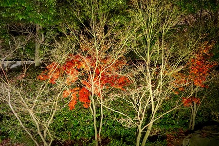 DSC05606