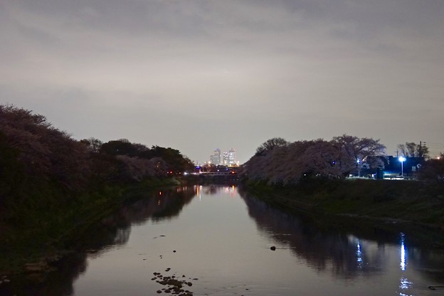 DSC05856