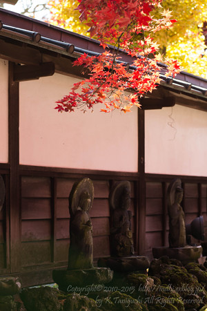 秋の長円寺