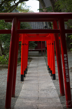 来宮神社