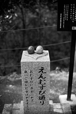 柿田川公園