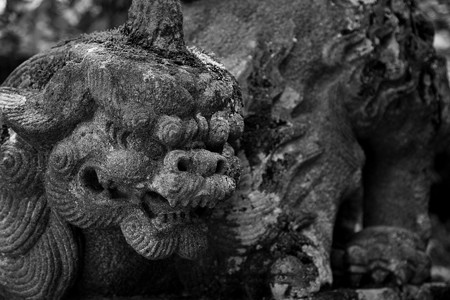 戸隠神社