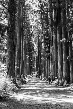 戸隠神社