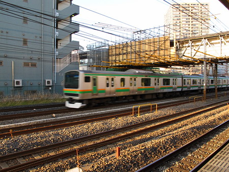 E231系(東神奈川駅)