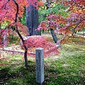 Photos: 京都