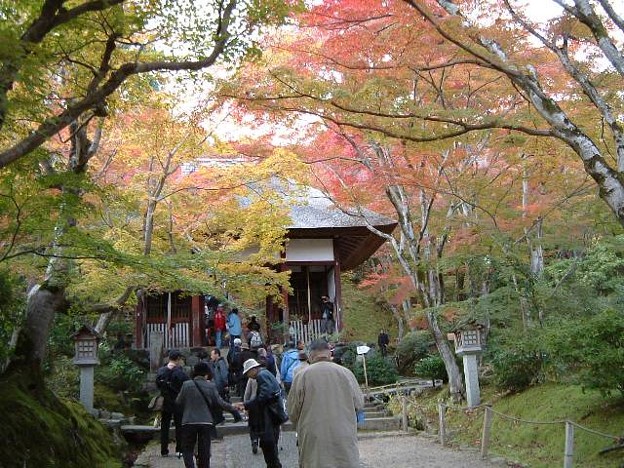 Photos: 京都の紅葉