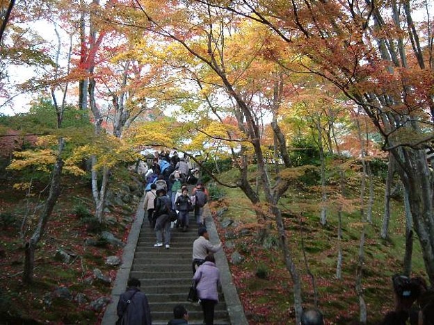 Photos: 京都の紅葉