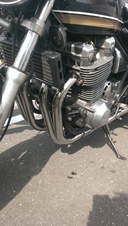 IMAG0455