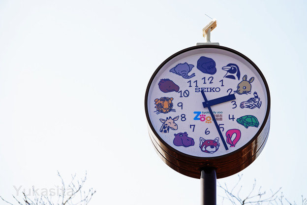 Photos: 動物園の時計