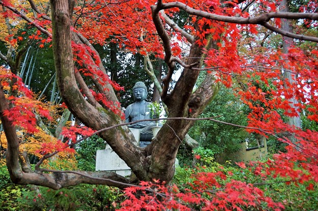 紅葉如来～京都栄摂院 Amitābha statue