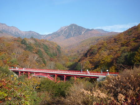 P1000137