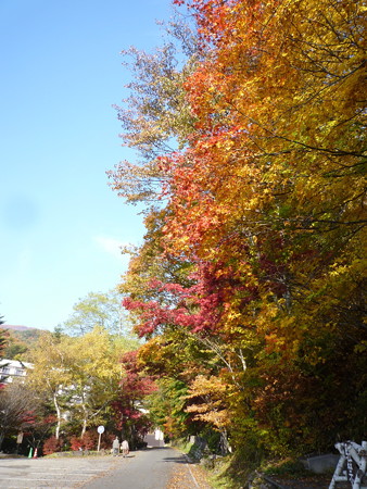 P1000219