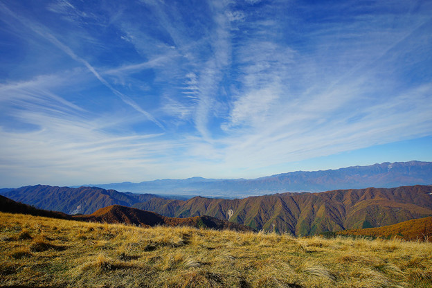 写真: DSC00520