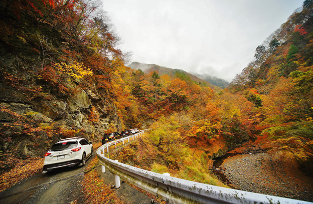 写真: DSC00738