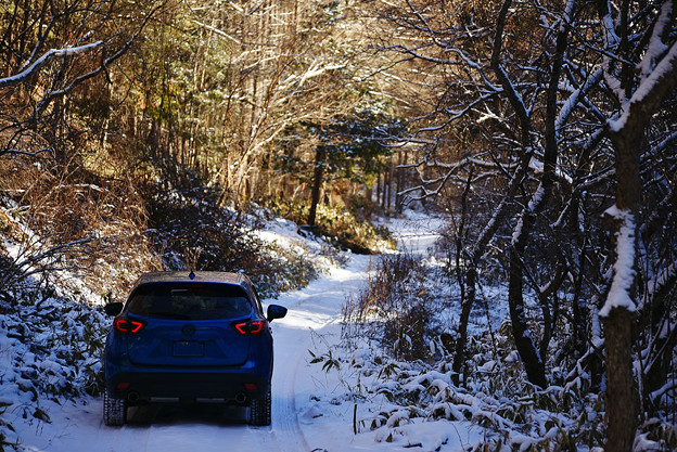 写真: DSC03236