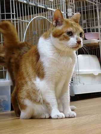 あつし「イジメのない生活っていいわぁ～」