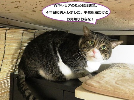 諭吉