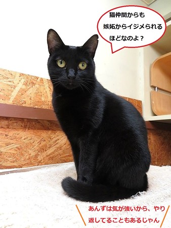 あんず6