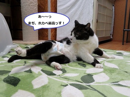 みゃう３
