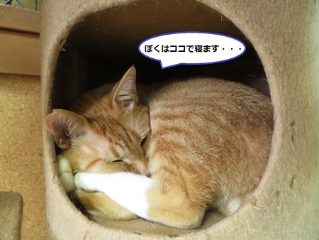 黄金