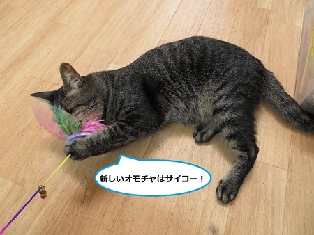 タイム