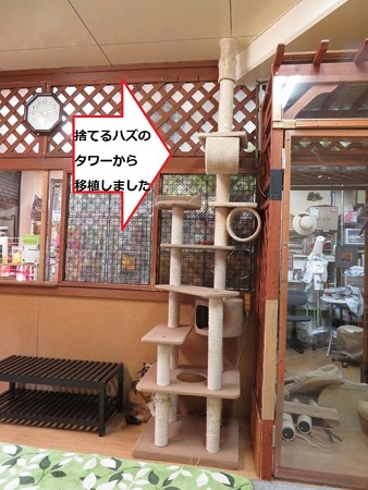 入り口横タワー改１