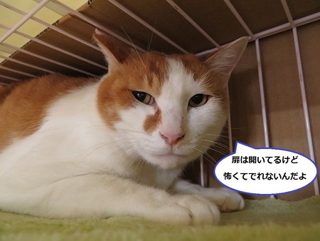 福寿